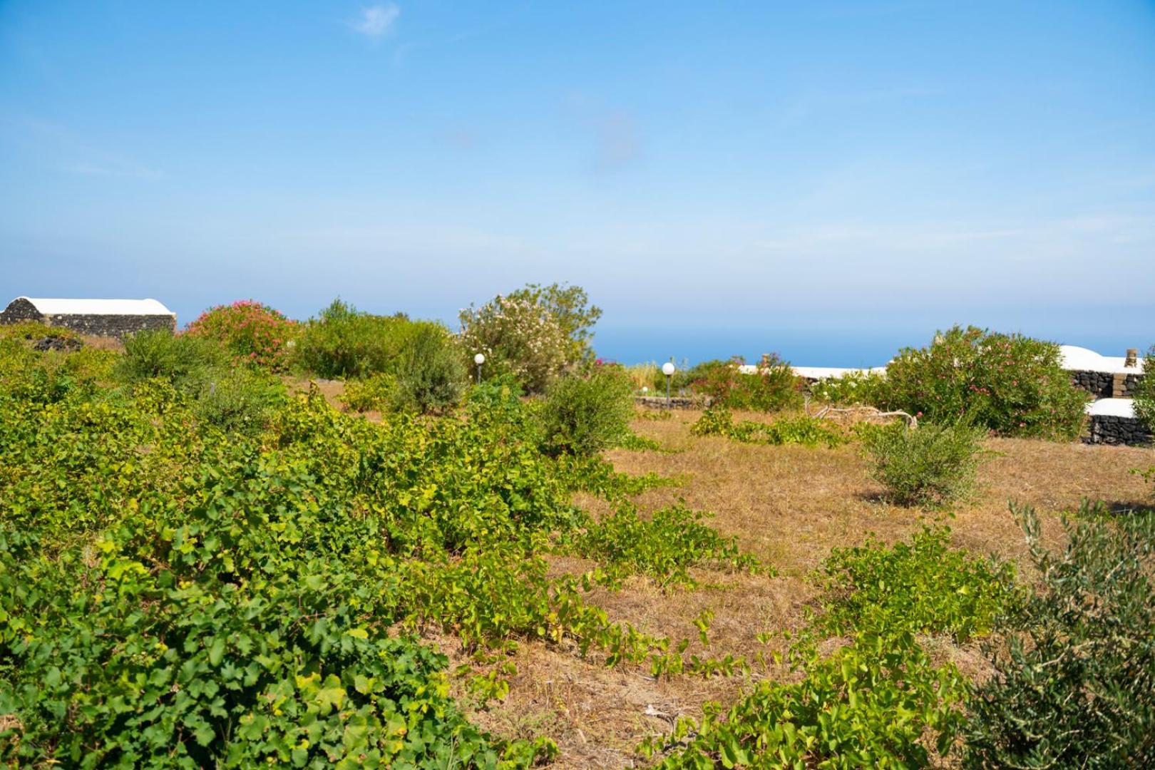 Casa Unifamiliare A Sicilia Villa Kamma Bagian luar foto